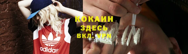 винт Лабытнанги