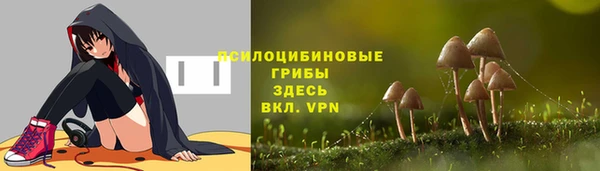 винт Лабытнанги