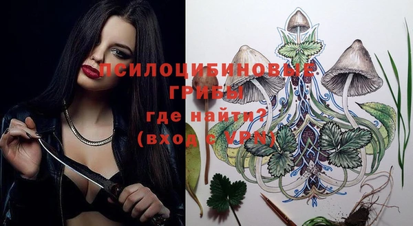 винт Лабытнанги
