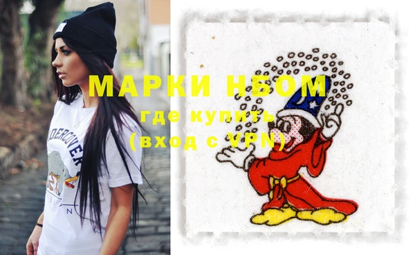 винт Лабытнанги