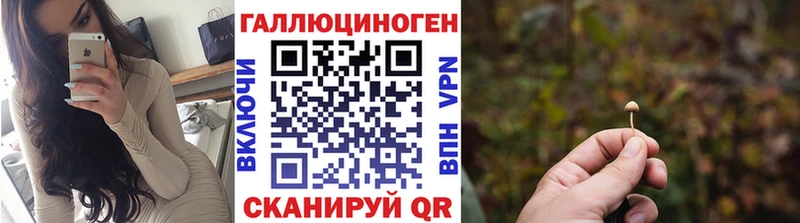Галлюциногенные грибы Psilocybine cubensis  Красноярск 